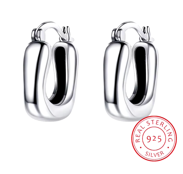 01107188 Aretes de plata S925 pequeños gruesos